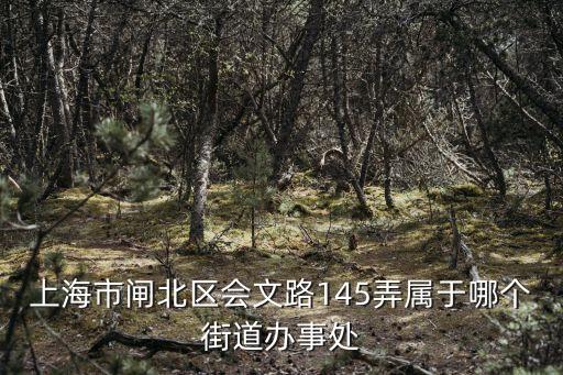上海市閘北區會文路145弄屬于哪個街道辦事處