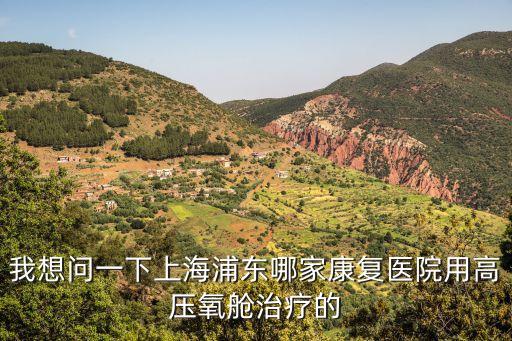 上海市高壓氧，上海寶山區附近哪家綜合或三甲醫院有做高壓氧的