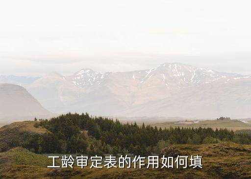 上海市連續工齡審定表，工齡審定表在哪領取呀