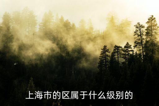 上海市的區屬于什么級別的
