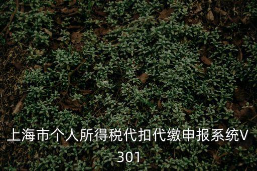 上海市個人所得稅代扣代繳申報系統V301