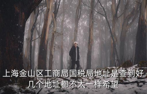 上海金山區(qū)工商局國稅局地址是查到好幾個(gè)地址都不太一樣希望