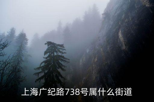 上海廣紀路738號屬什么街道