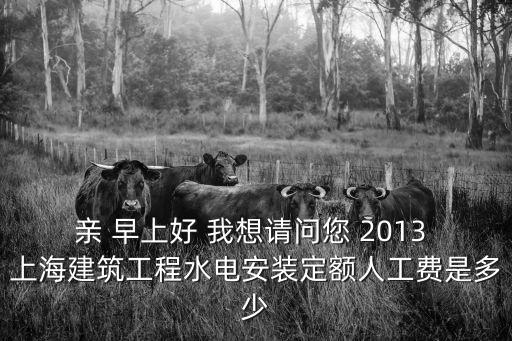 親 早上好 我想請問您 2013 上海建筑工程水電安裝定額人工費是多少