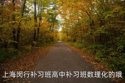 上海閔行補(bǔ)習(xí)班高中補(bǔ)習(xí)班數(shù)理化的哦