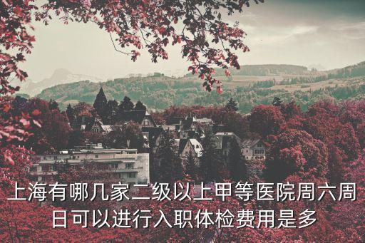 上海有哪幾家二級以上甲等醫(yī)院周六周日可以進(jìn)行入職體檢費(fèi)用是多