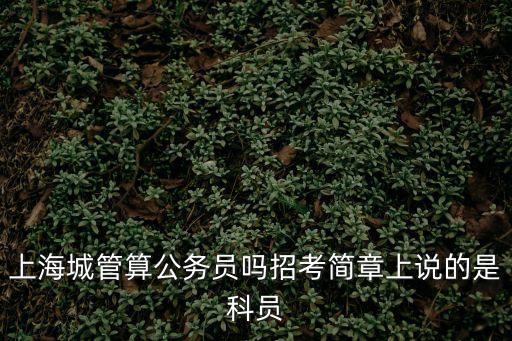 上海城管算公務員嗎招考簡章上說的是科員