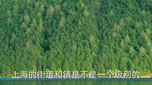 上海市街道書記什么級別，上海浦東新區各街道辦主任是什么級別