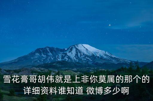 上海市胡偉，雪花膏哥胡偉就是上非你莫屬的那個的詳細資料誰知道 微博多少啊