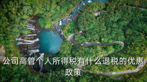 上海市高管反個稅，公司高管個人所得稅有什么退稅的優惠政策