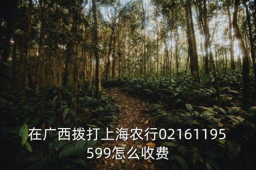 在廣西撥打上海農行02161195599怎么收費
