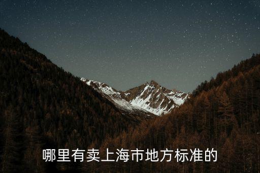 哪里有賣上海市地方標(biāo)準(zhǔn)的