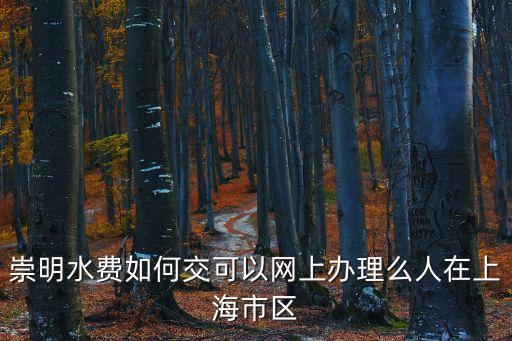 崇明水費如何交可以網上辦理么人在上海市區