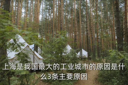 上海市工業(yè)用地占比，上海是我國的最大的綜合性工業(yè)城市