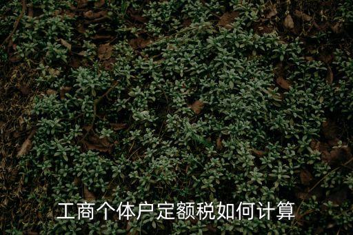 上海市個體工商定額稅，工商個體戶定額稅如何計算
