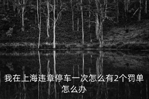 我在上海違章停車一次怎么有2個罰單怎么辦