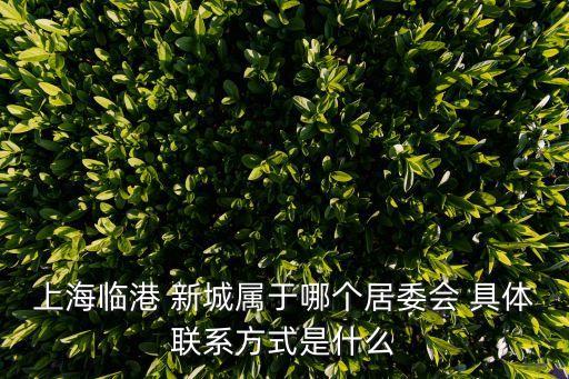 上海市居委會(huì)成立，上海臨港 新城屬于哪個(gè)居委會(huì) 具體聯(lián)系方式是什么