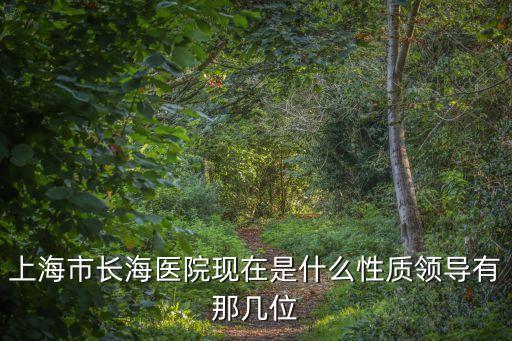 上海市各級(jí)醫(yī)院更換領(lǐng)導(dǎo)，上海市長(zhǎng)海醫(yī)院現(xiàn)在是什么性質(zhì)領(lǐng)導(dǎo)有那幾位