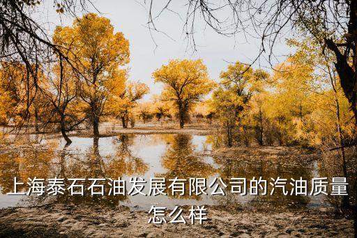 上海泰石石油發(fā)展有限公司的汽油質(zhì)量怎么樣