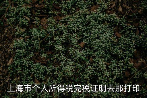 上海市個(gè)人所得稅完稅證明去那打印