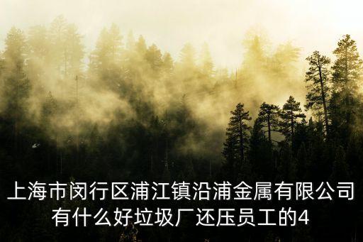上海市閔行區(qū)浦江鎮(zhèn)沿浦金屬有限公司有什么好垃圾廠還壓員工的4