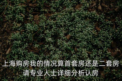 上海市購房認房又認貸，上海購房我的情況算首套房還是二套房請專業人士詳細分析認房