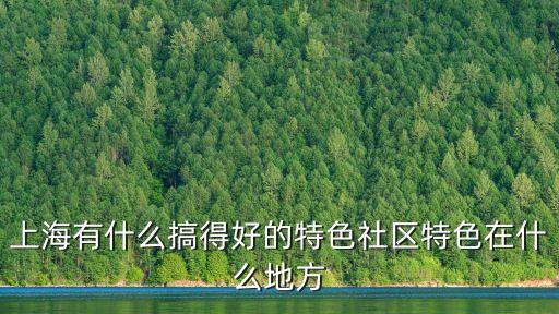 上海市居委會建設，上海有什么搞得好的特色社區特色在什么地方