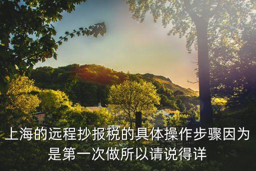 上海市科技啟明星申報，上海的遠程抄報稅的具體操作步驟因為是第一次做所以請說得詳