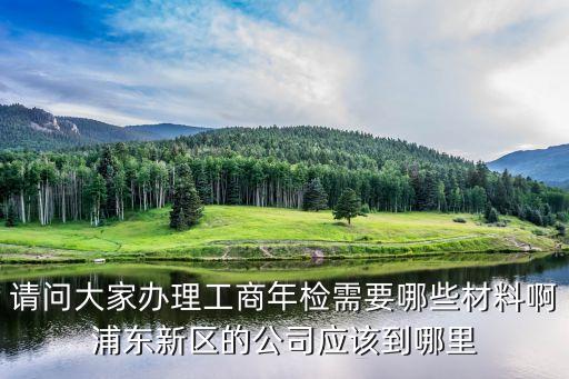 上海市工商年審，請(qǐng)問(wèn)大家辦理工商年檢需要哪些材料啊浦東新區(qū)的公司應(yīng)該到哪里