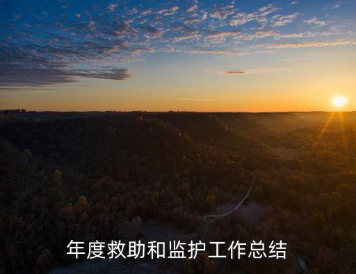 年度救助和監護工作總結
