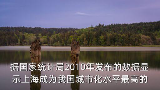 據國家統計局2010年發布的數據顯示上海成為我國城市化水平最高的