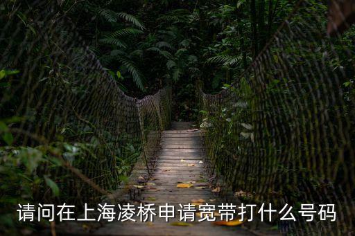 請問在上海凌橋申請寬帶打什么號碼