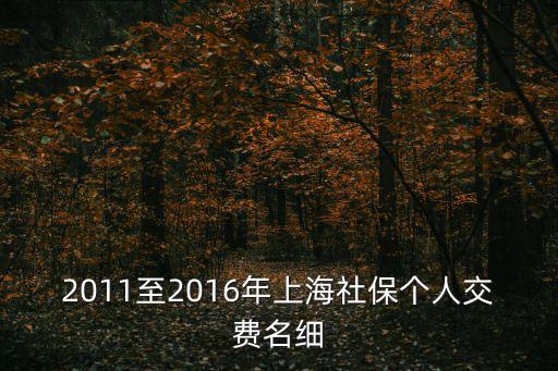 2011至2016年上海社保個人交費名細