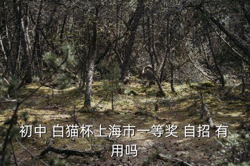 上海市級評優一等獎，初中 白貓杯上海市一等獎 自招 有用嗎