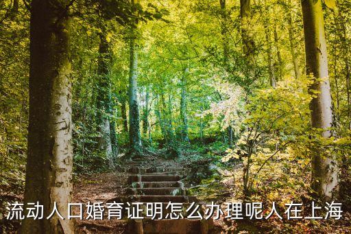 流動人口婚育證明怎么辦理呢人在上海