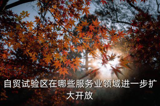 上海市服務(wù)貿(mào)易創(chuàng)新試點(diǎn)，上海新金融中心是哪