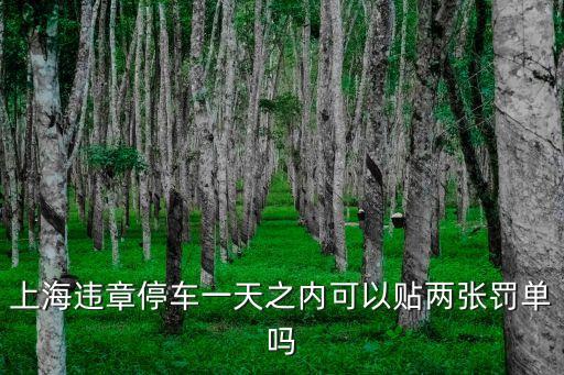 上海違章停車一天之內可以貼兩張罰單嗎
