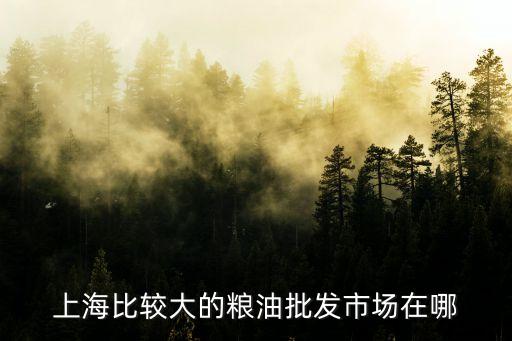 上海市 成品油批發，現在上海哪里的汽油最便宜