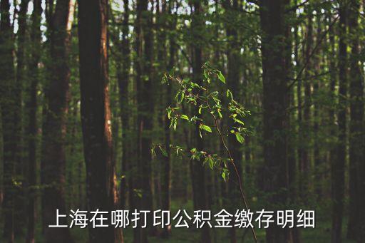 上海市公積金歷年繳存表，上海住房公積金是從哪年開始繳費