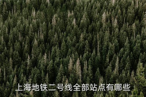 上海市區2號線分布圖，上海地鐵2號線線路圖