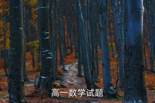 上海市高一期中數學試卷，高一數學試題