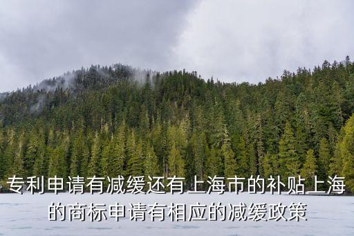 專利申請有減緩還有上海市的補貼上海的商標申請有相應的減緩政策
