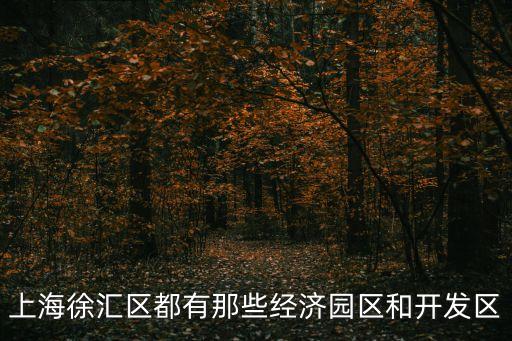 上海徐匯區(qū)都有那些經(jīng)濟(jì)園區(qū)和開發(fā)區(qū)