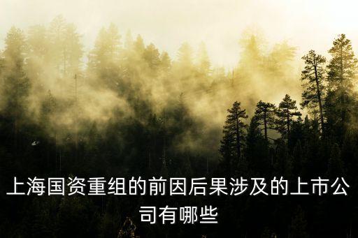 上海國資重組的前因后果涉及的上市公司有哪些