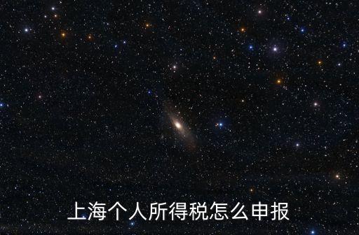 上海個(gè)人所得稅怎么申報(bào)