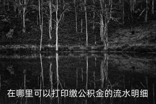 上海市公積金繳費(fèi)流水打印，在哪里可以打印繳公積金的流水明細(xì)