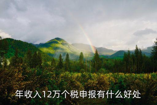 年收入12萬個稅申報有什么好處