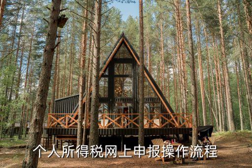 個人所得稅網上申報操作流程