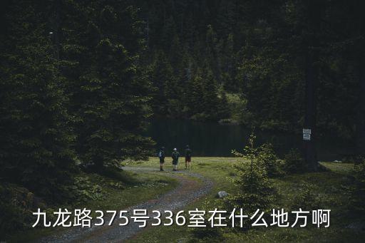 上海市電力公司吳英姿，九龍路375號336室在什么地方啊