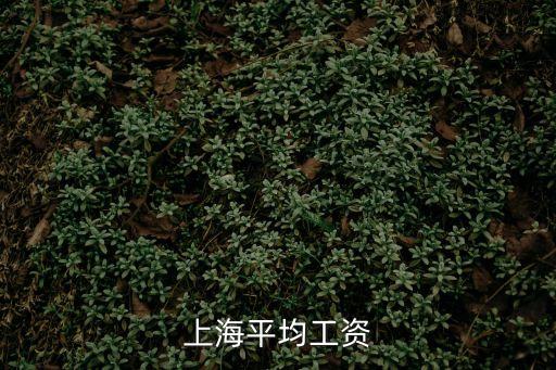 上海市購銷專員平均工資，上海平均工資